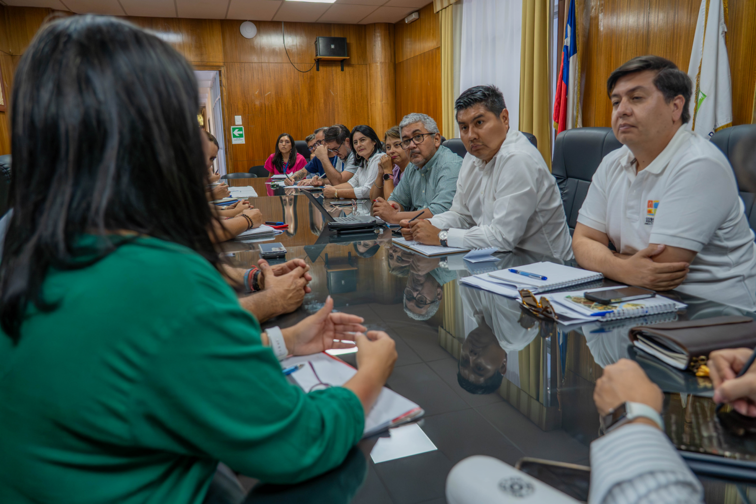 Reunión Cesfam GORE.png